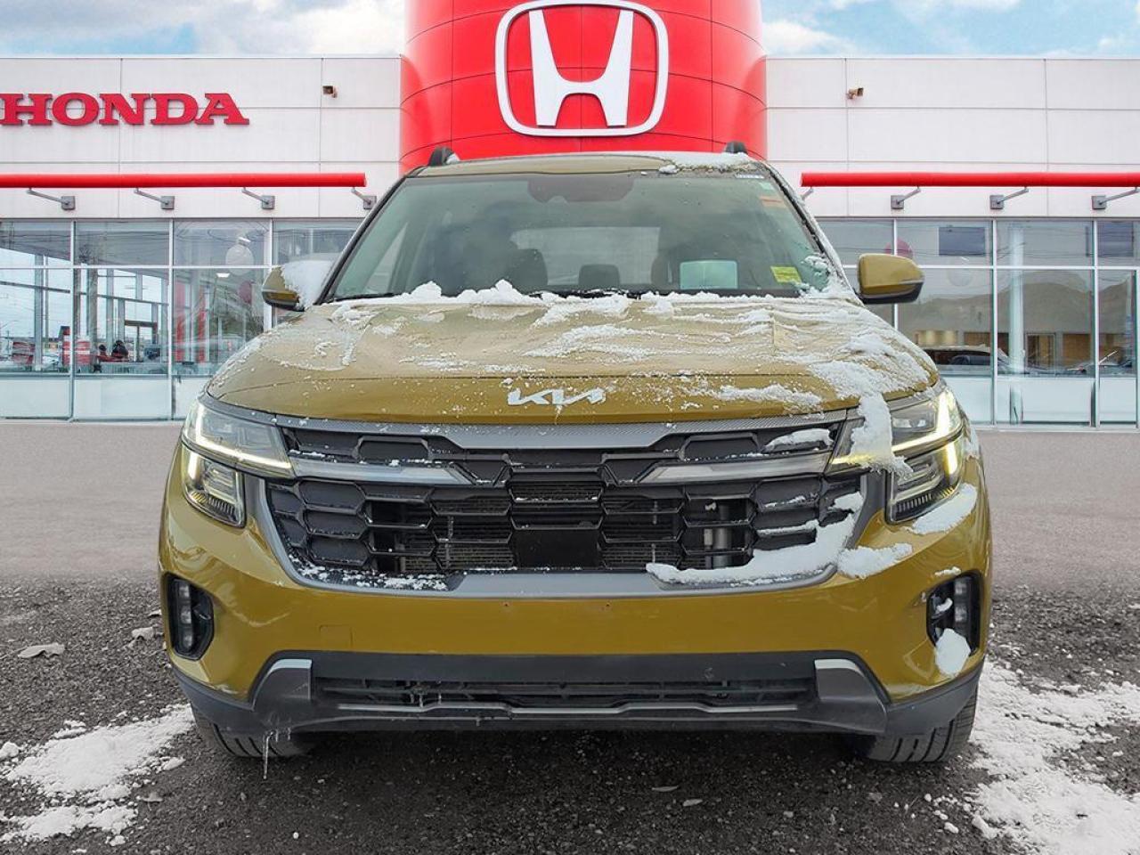 2024 Kia Seltos X-LINE Photo