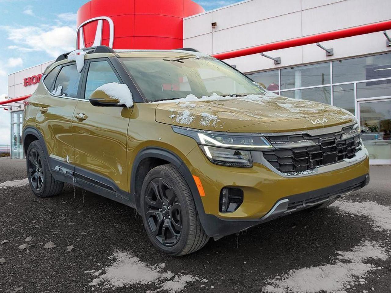 2024 Kia Seltos X-LINE Photo