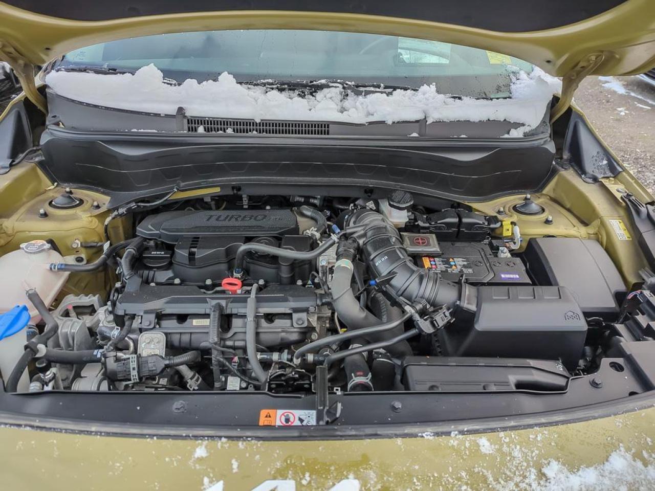 2024 Kia Seltos X-LINE Photo