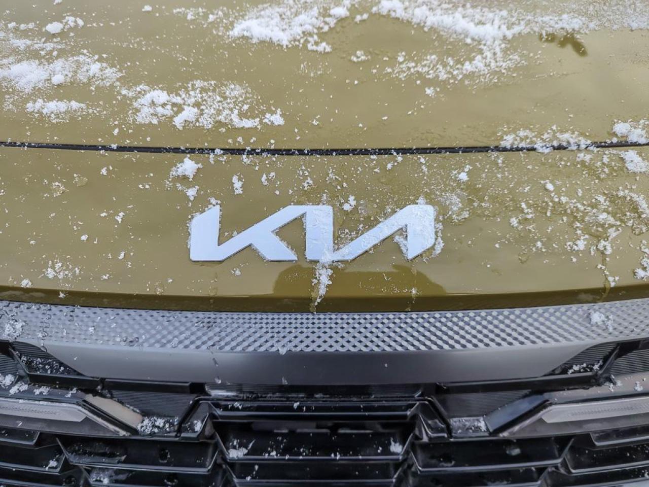 2024 Kia Seltos X-LINE Photo