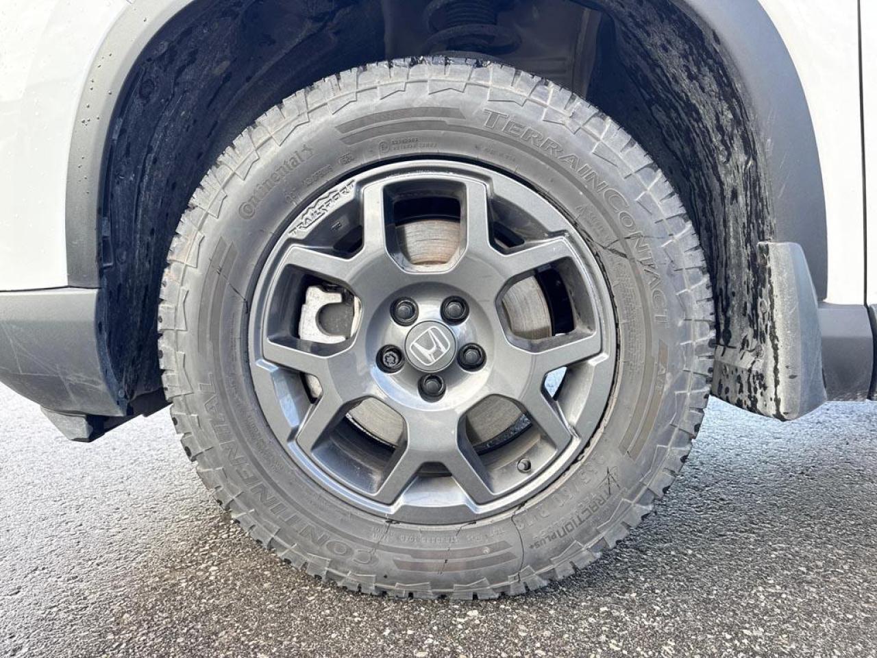 2025 Honda Pilot TrailSport Photo