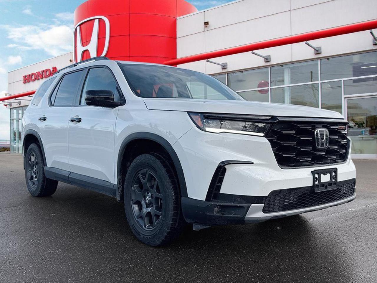2025 Honda Pilot TrailSport Photo
