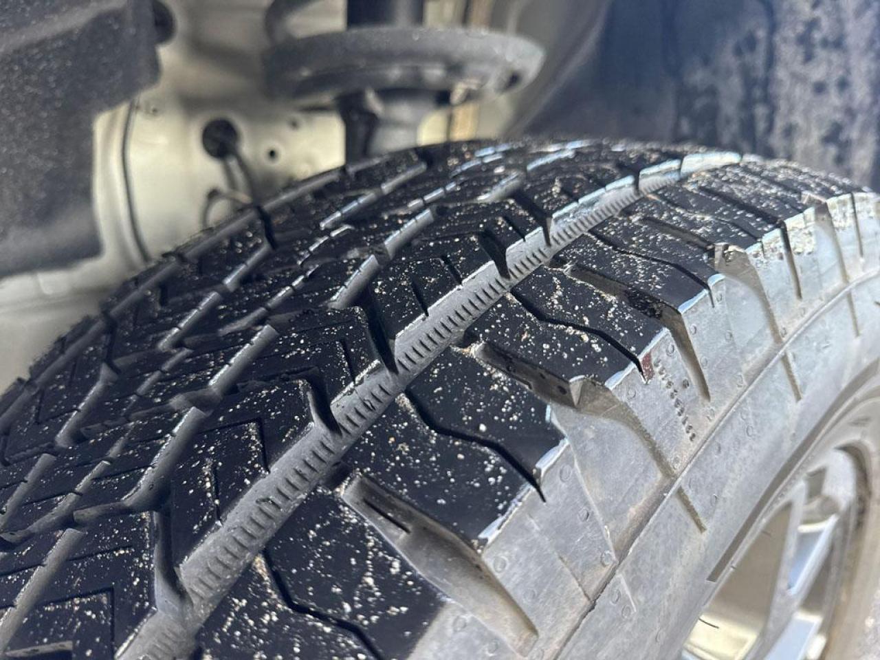 2025 Honda Pilot TrailSport Photo