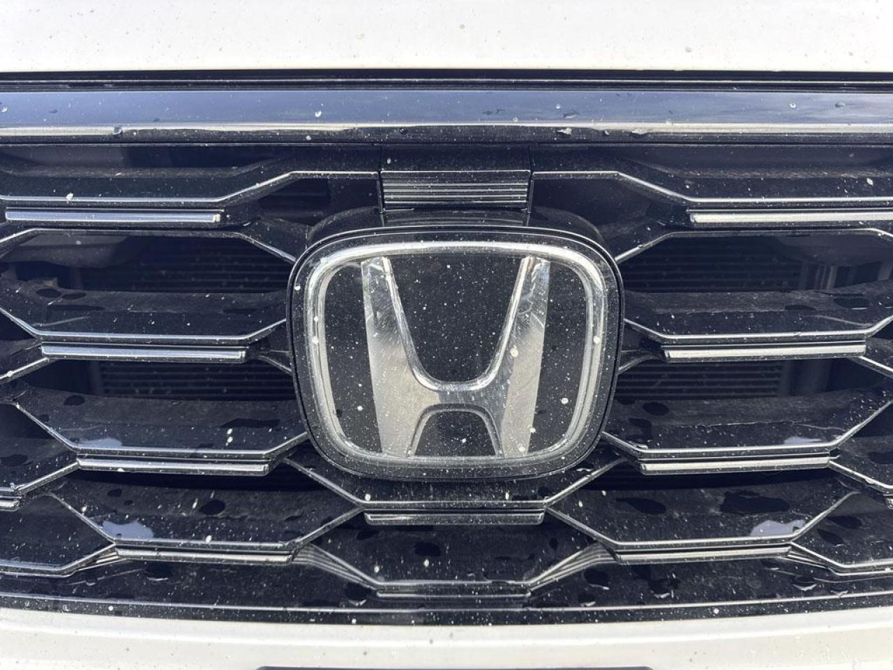 2025 Honda Pilot TrailSport Photo