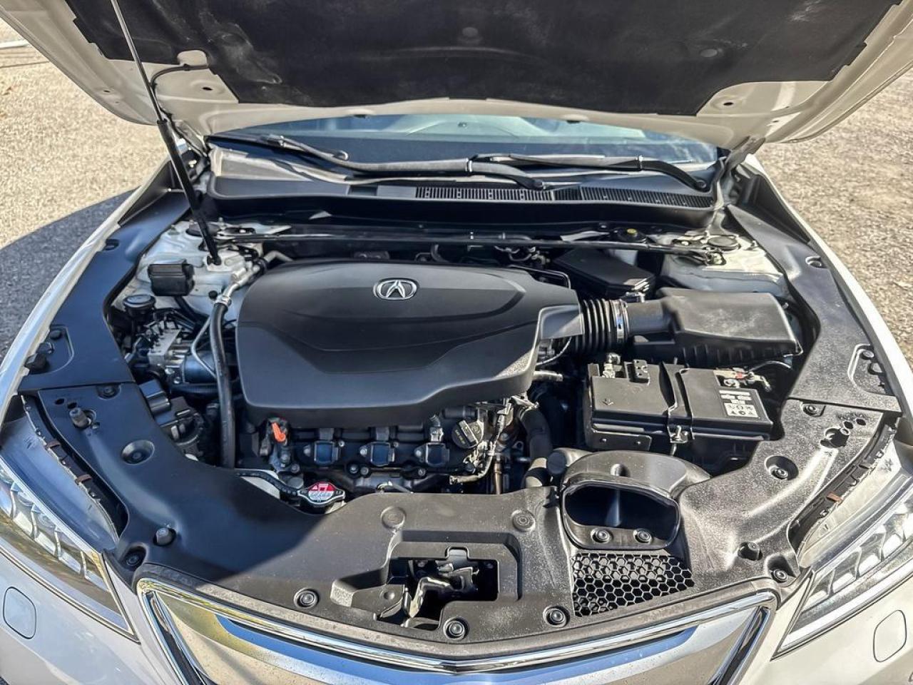 2016 Acura TLX Elite Photo