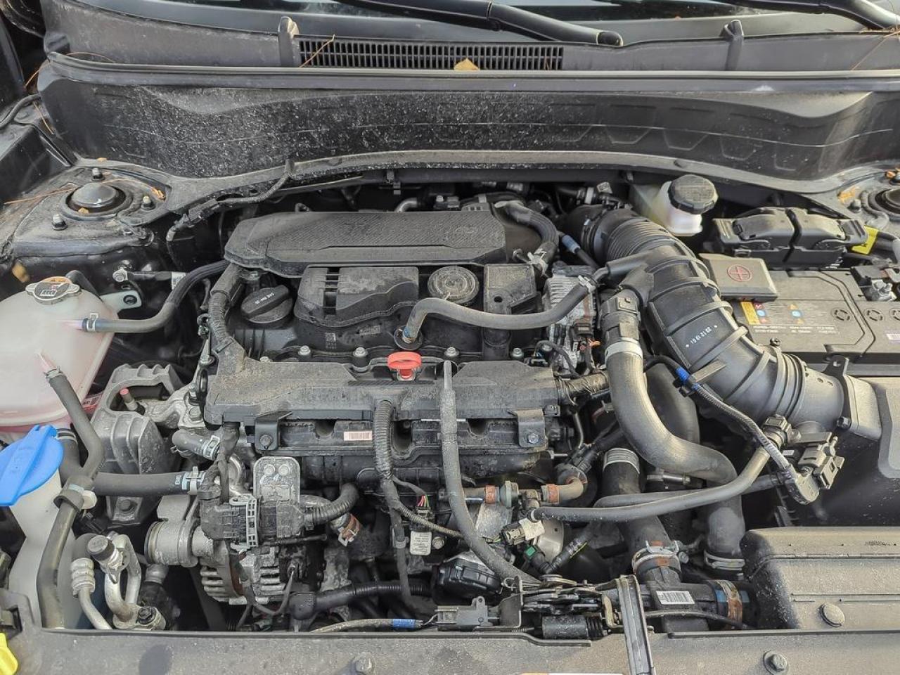 2024 Kia Seltos X-LINE Photo