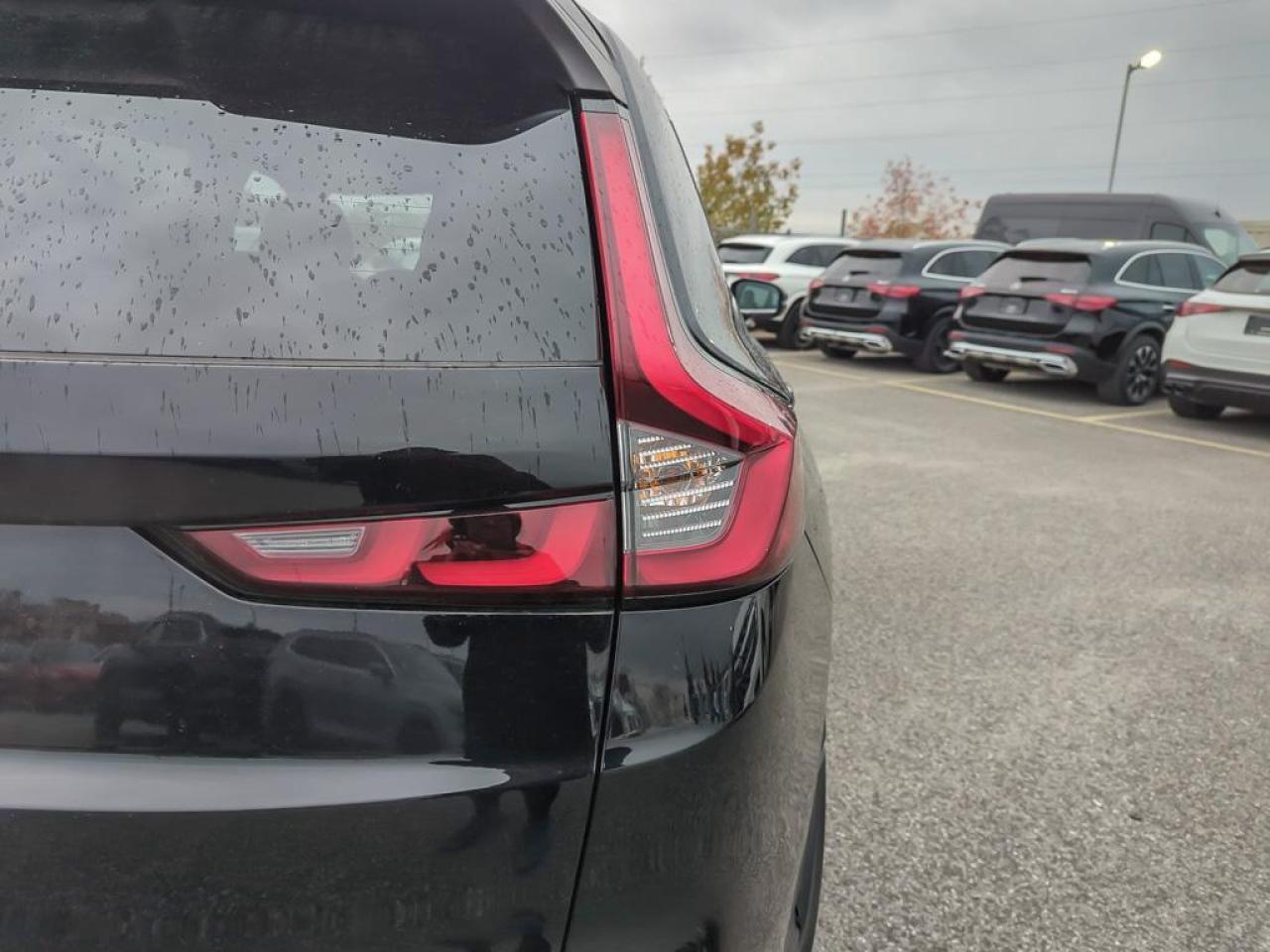 2025 Honda CR-V Hybrid EX-L Photo