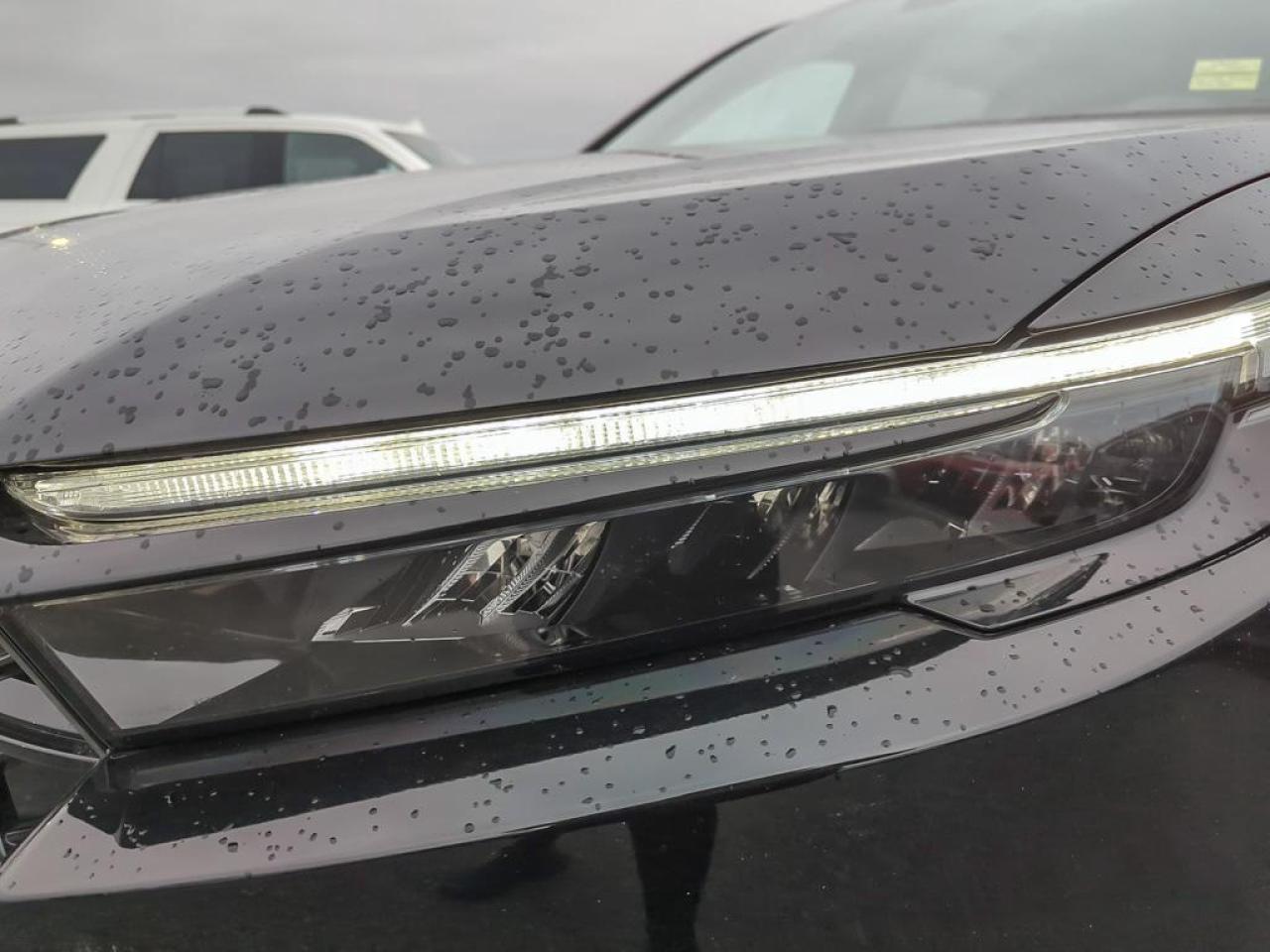 2025 Honda CR-V Hybrid EX-L Photo