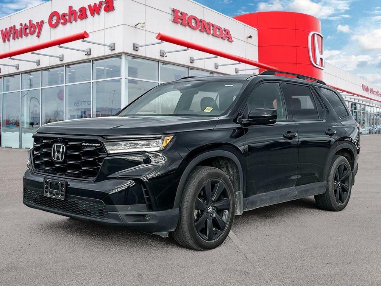 2024 Honda Pilot Black Edition Photo