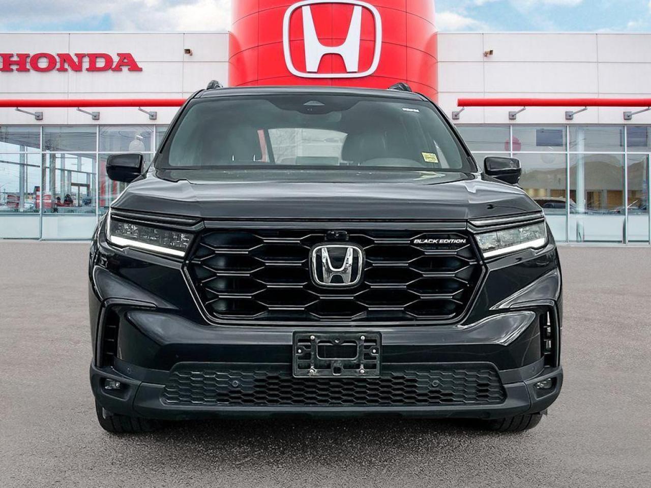 2024 Honda Pilot Black Edition Photo