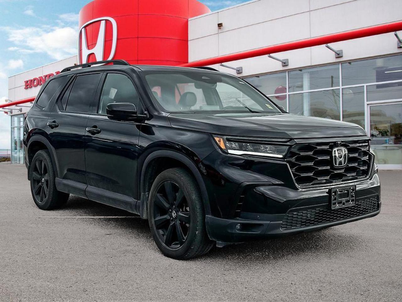 2024 Honda Pilot Black Edition Photo