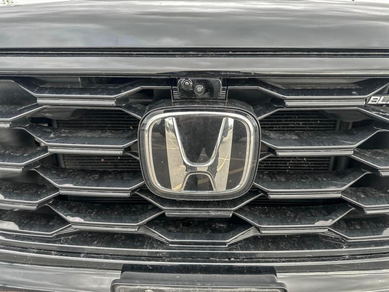 2024 Honda Pilot Black Edition Photo