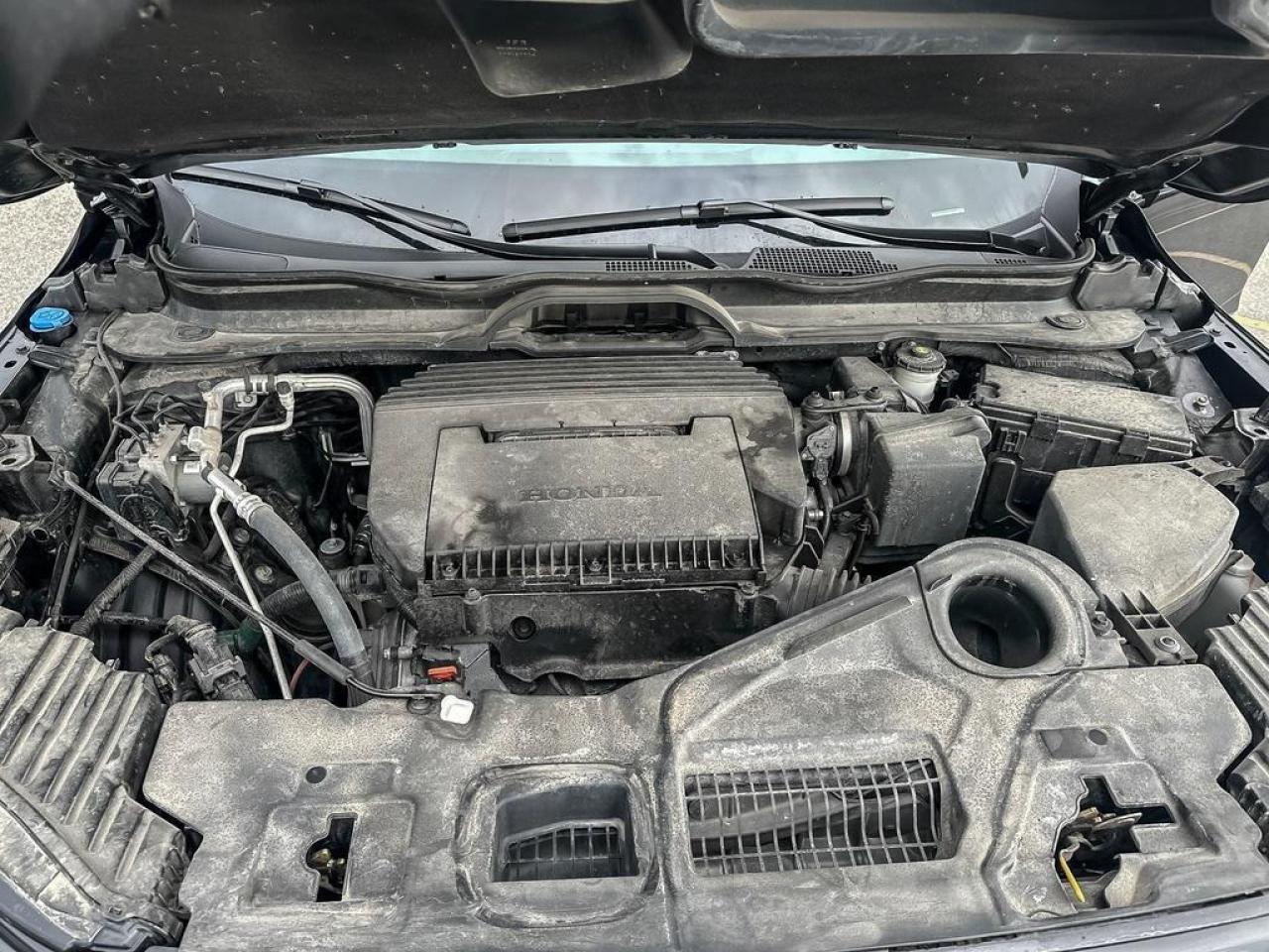 2024 Honda Pilot Black Edition Photo