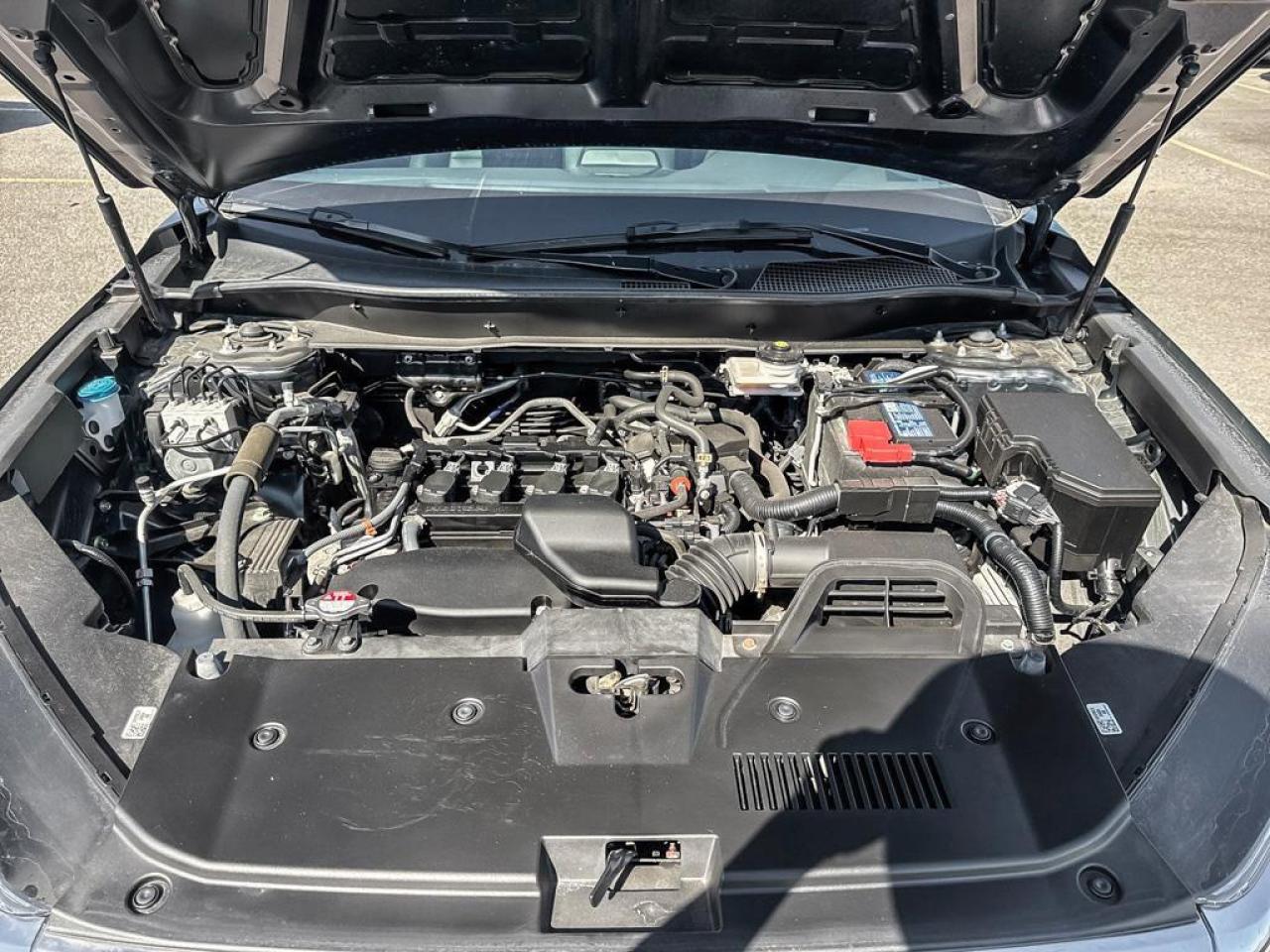 2024 Honda CR-V EX-L Photo