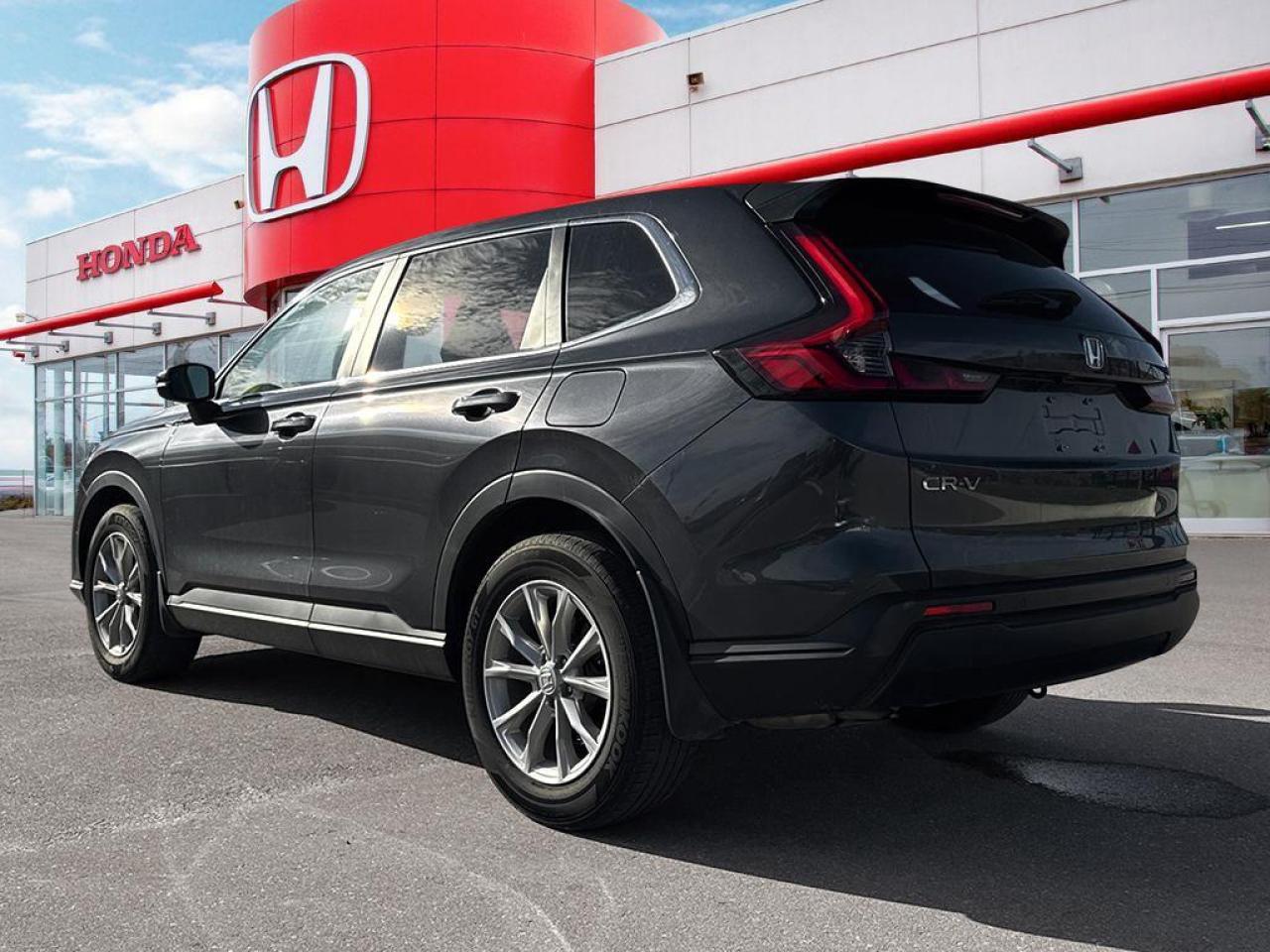 2023 Honda CR-V EX-L Photo