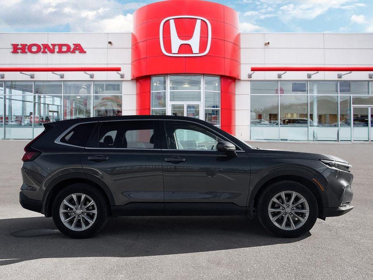 2023 Honda CR-V EX-L Photo