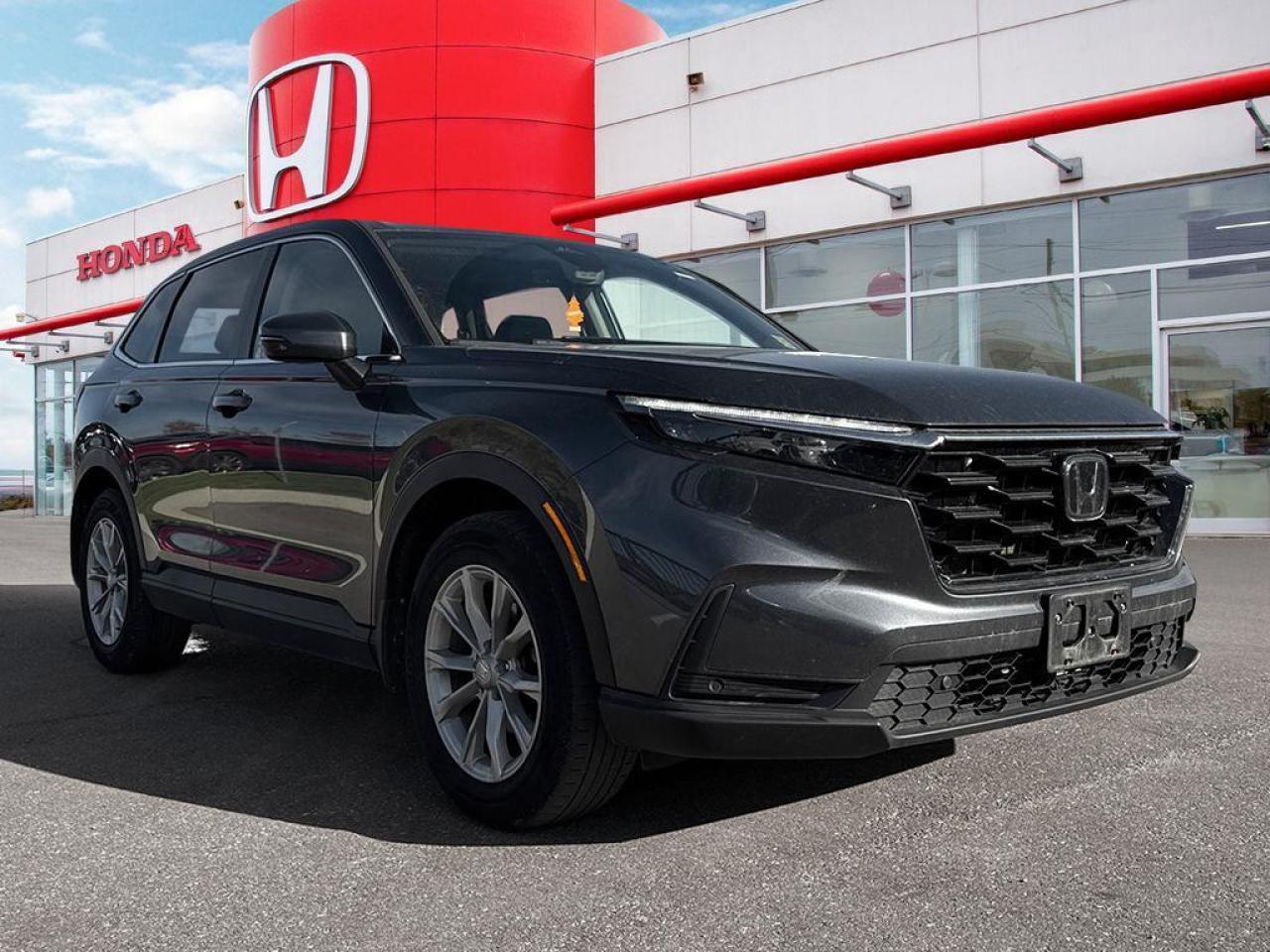 2023 Honda CR-V EX-L Photo