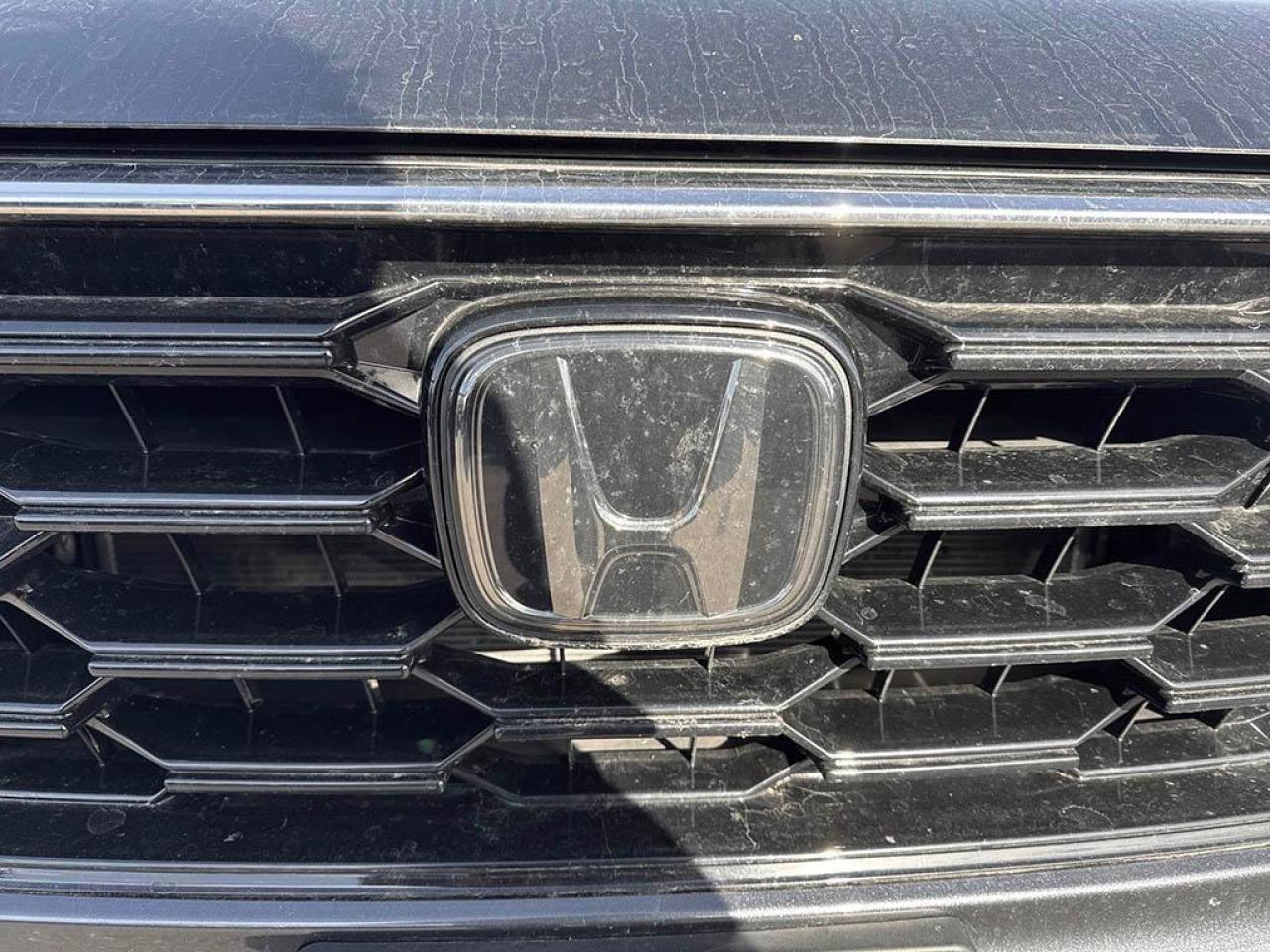 2023 Honda CR-V EX-L Photo