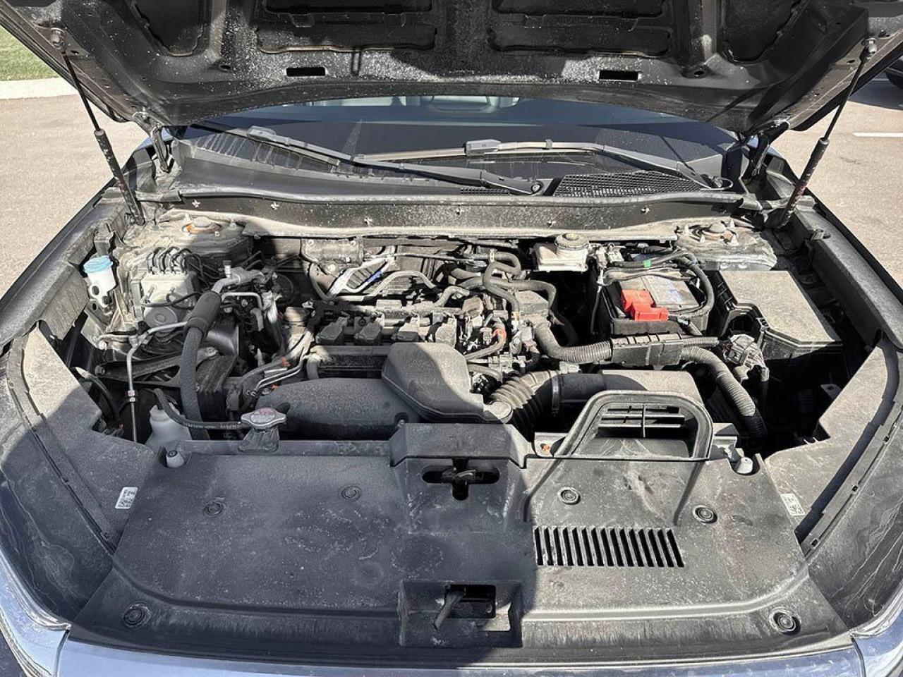 2023 Honda CR-V EX-L Photo