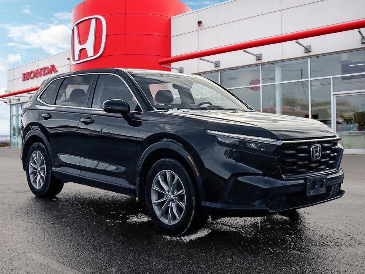 2024 Honda CR-V EX-L Photo