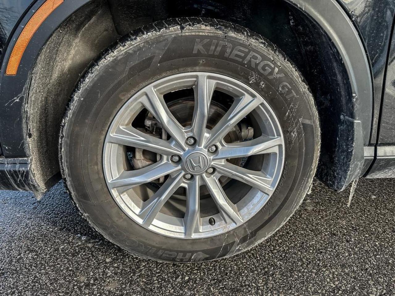 2024 Honda CR-V EX-L Photo