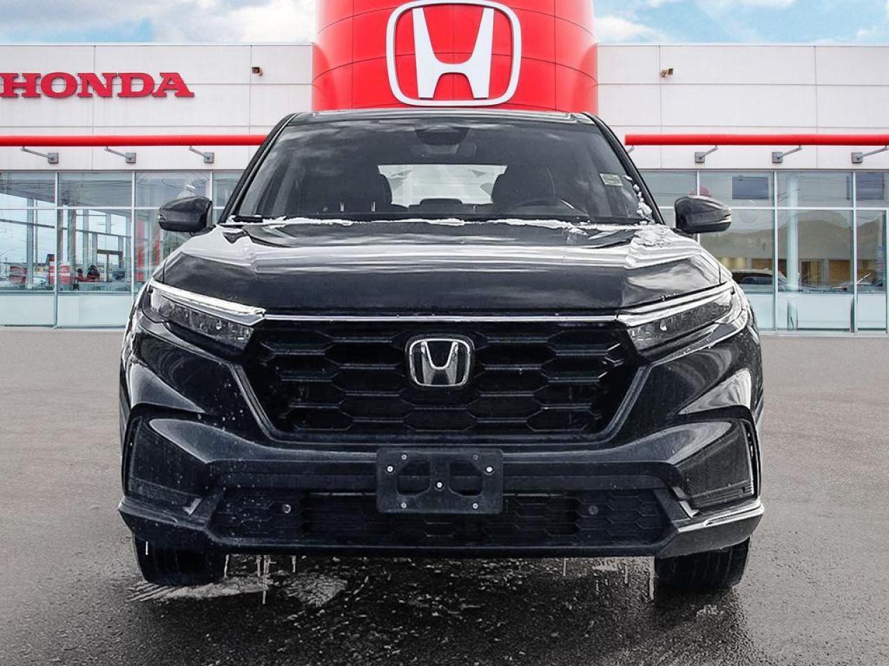 2024 Honda CR-V EX-L Photo