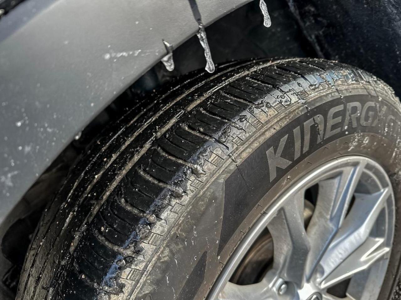 2024 Honda CR-V EX-L Photo