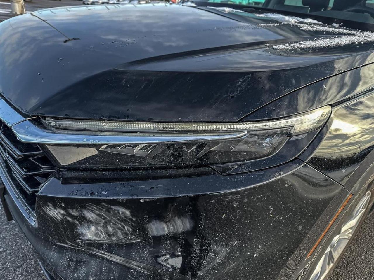 2024 Honda CR-V EX-L Photo