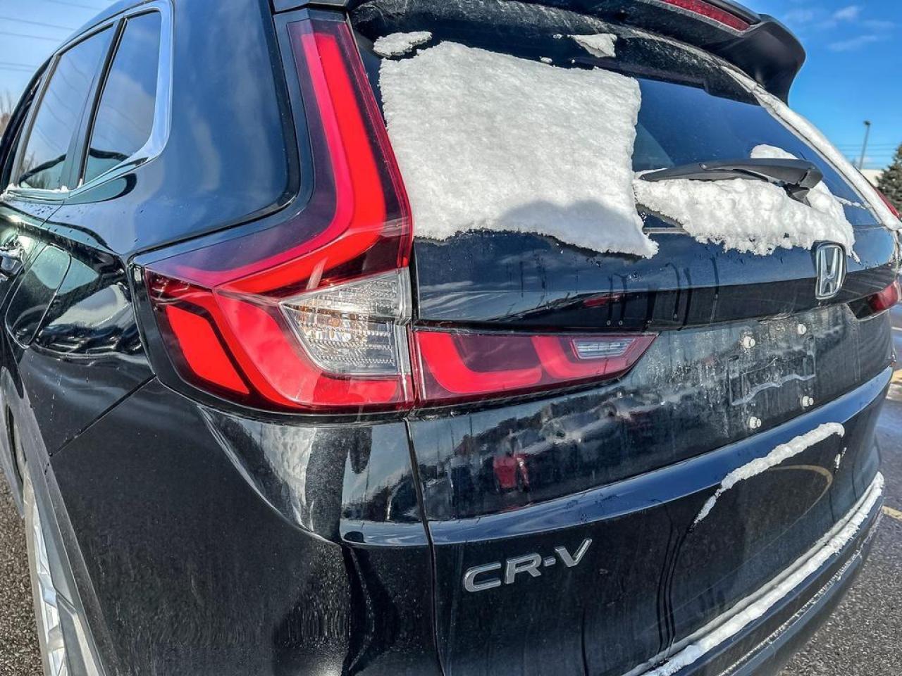 2024 Honda CR-V EX-L Photo