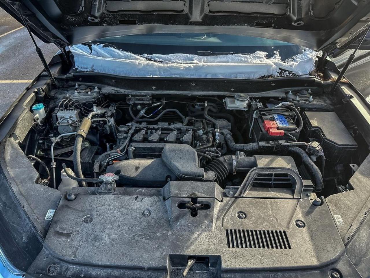 2024 Honda CR-V EX-L Photo