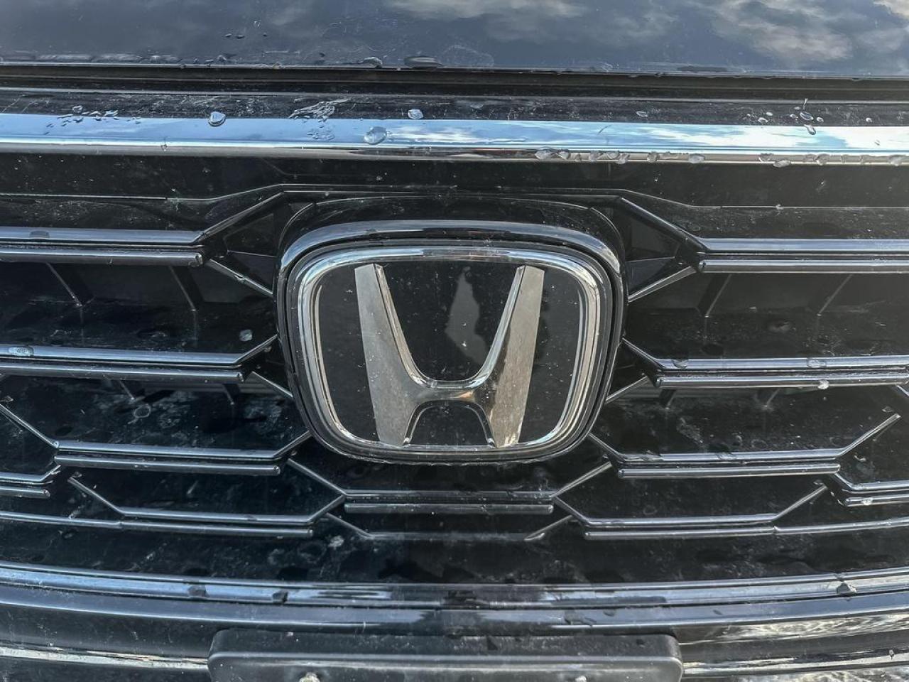 2024 Honda CR-V EX-L Photo