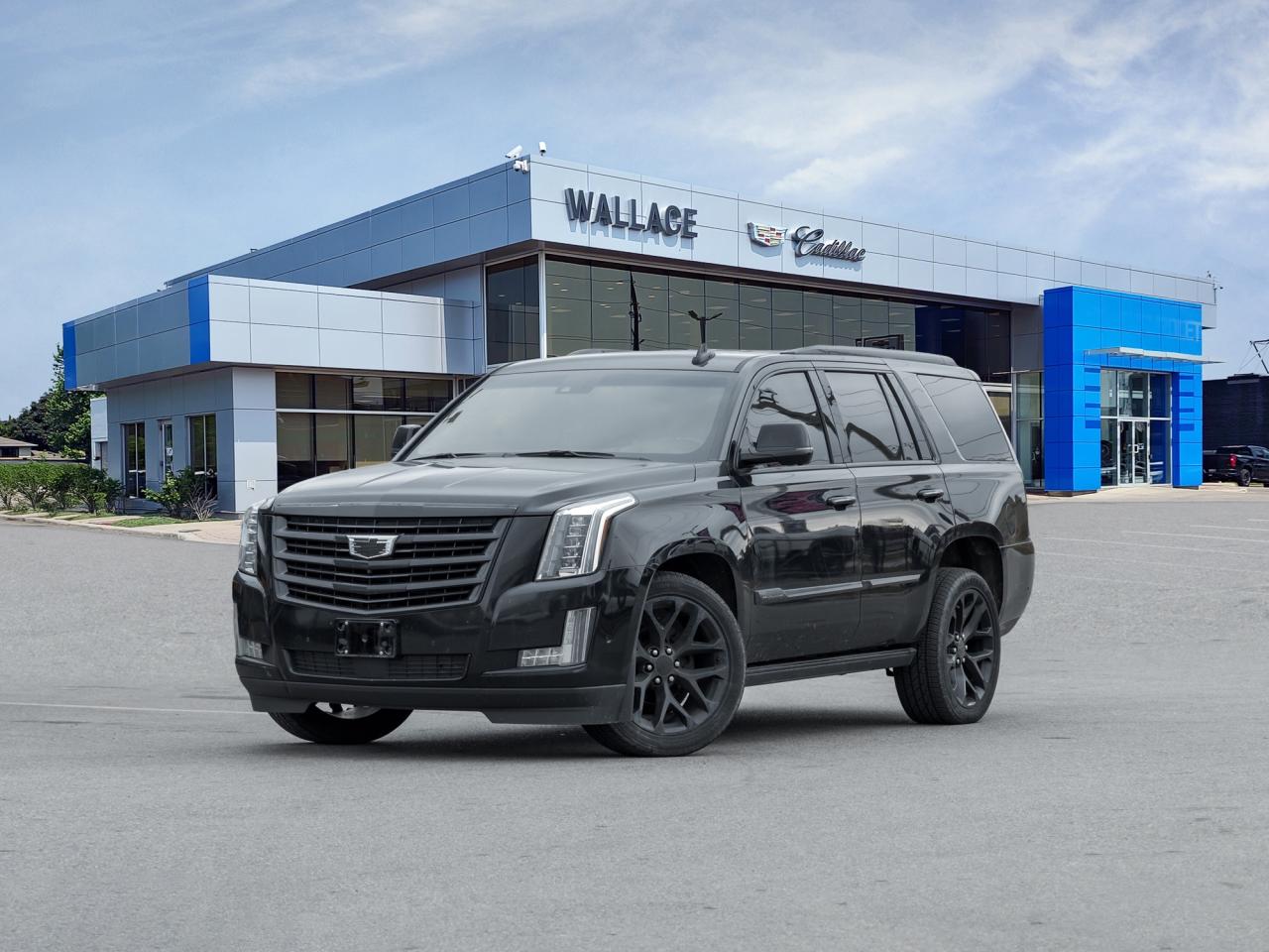 2019 Cadillac Escalade 4WD 4dr Platinum Photo0