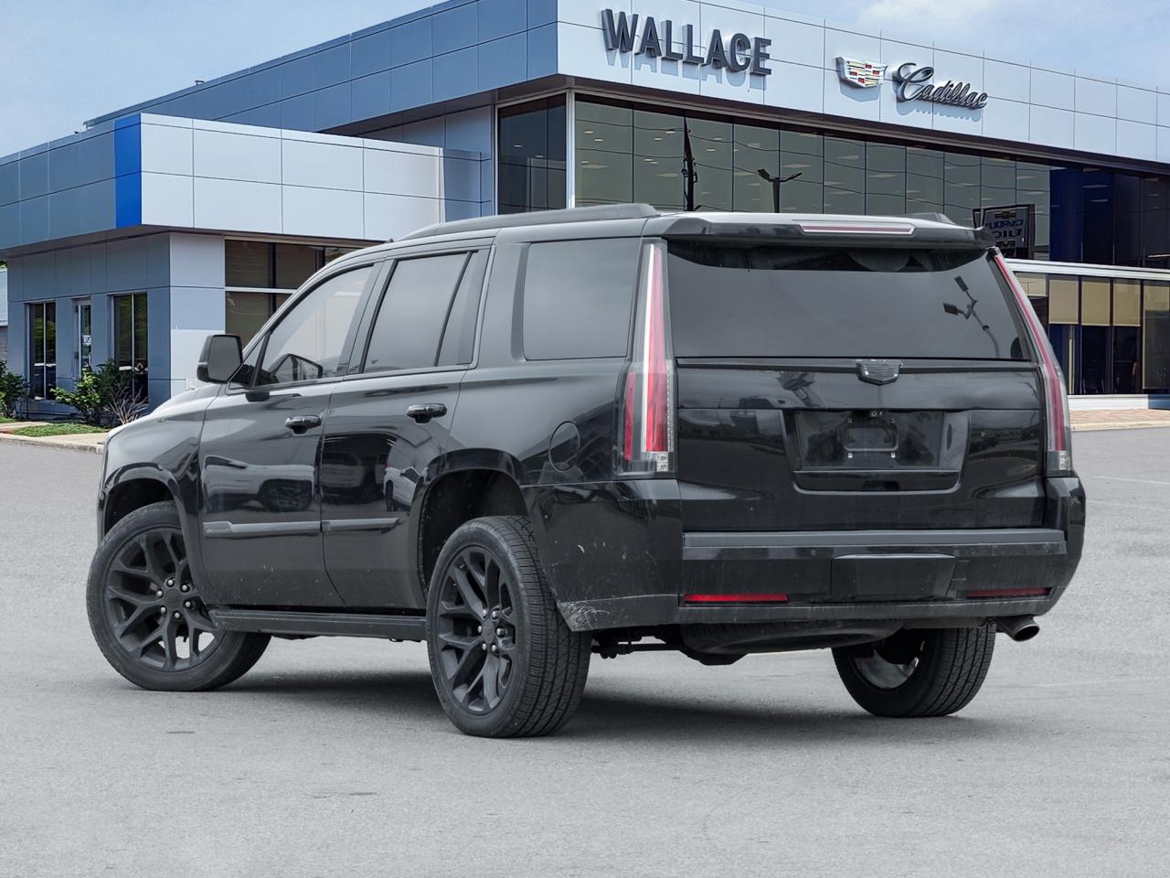 2019 Cadillac Escalade 4WD 4dr Platinum Photo