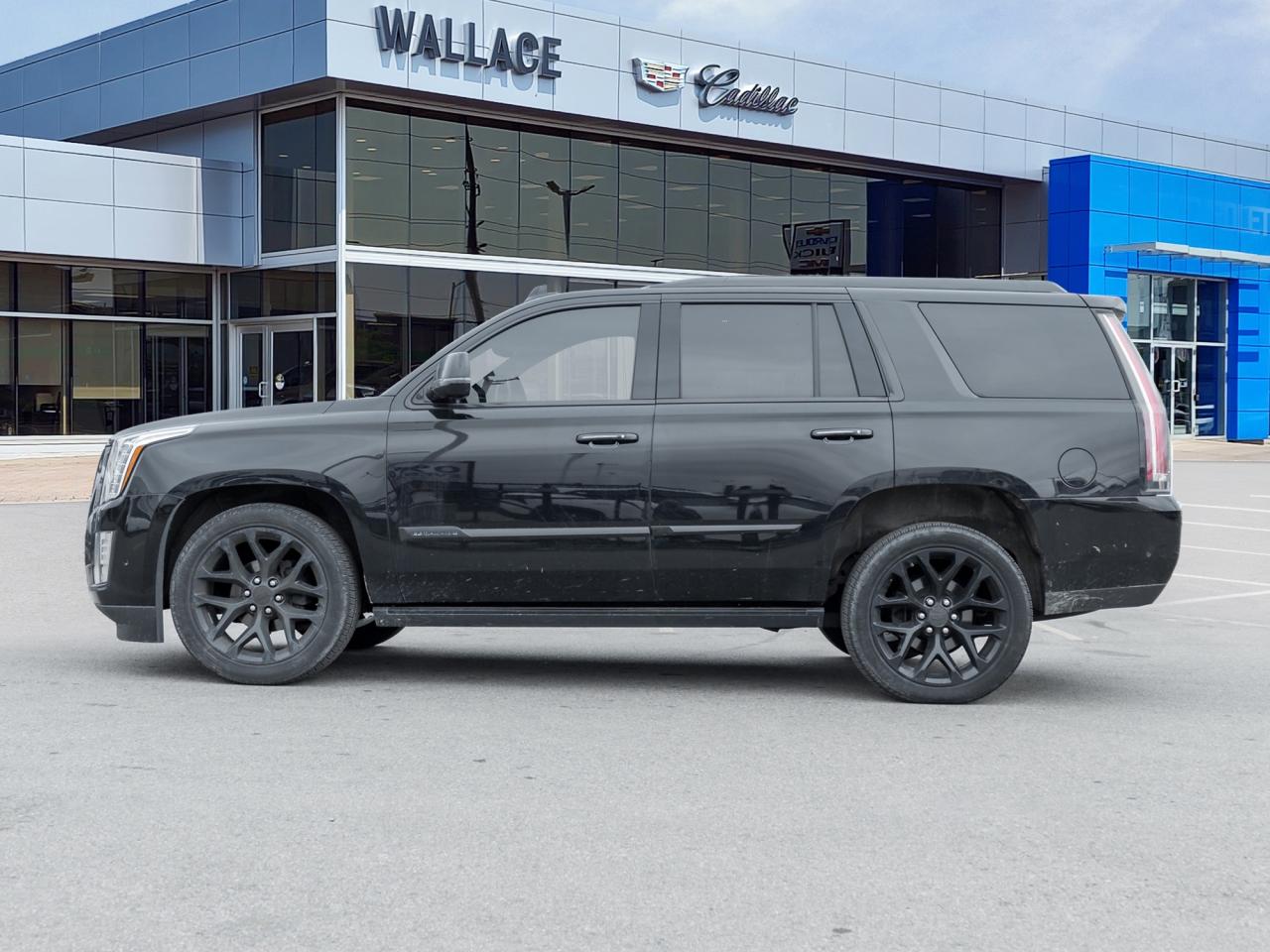2019 Cadillac Escalade 4WD 4dr Platinum Photo2