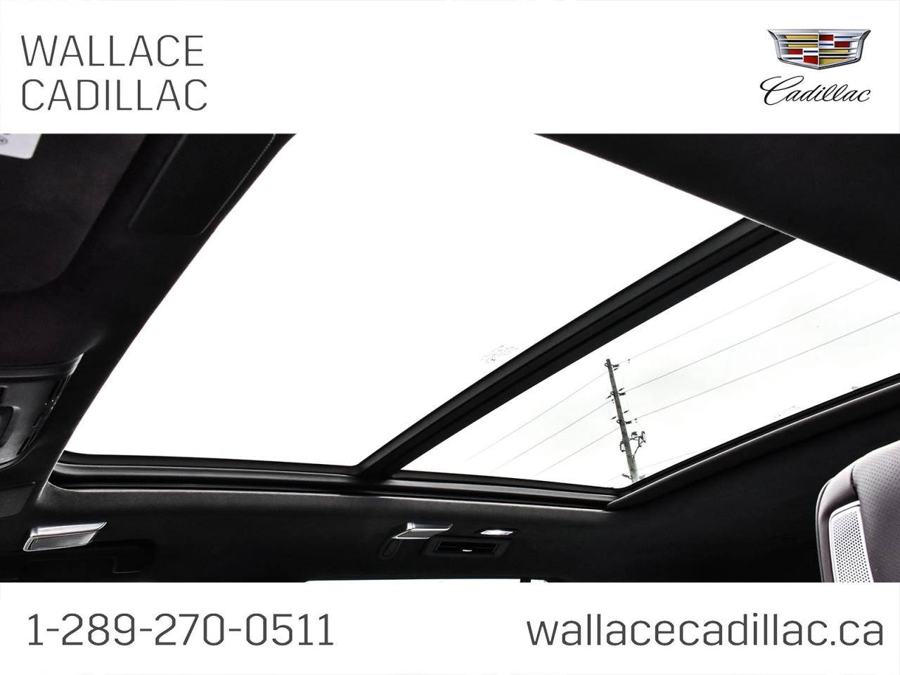 2023 Cadillac Escalade 6.2L, Magnetic Ride, 22" Polished Wheels Photo