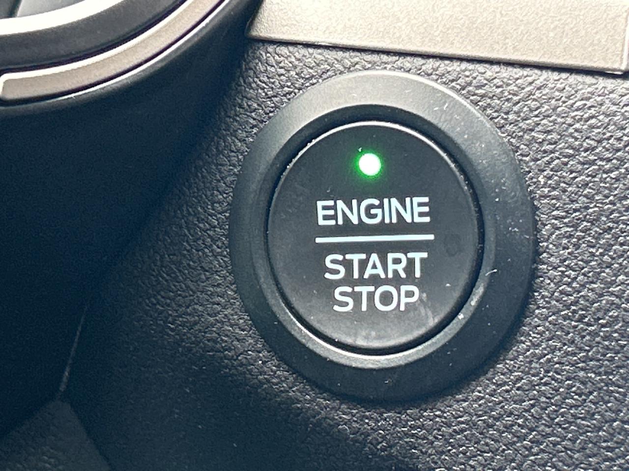 2020 Ford Escape SEL   Leatherette   Clean Carfax Photo