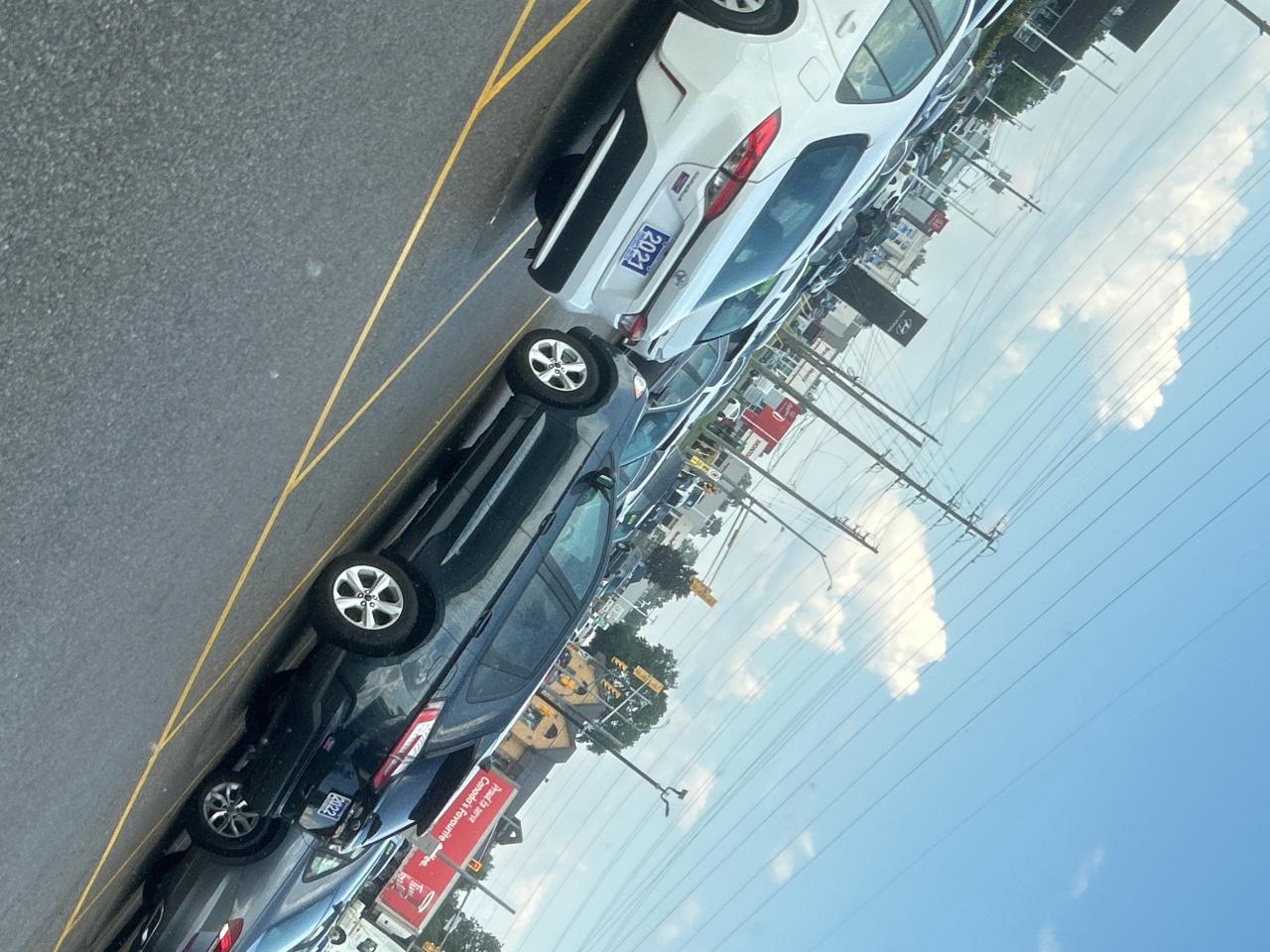 2020 Ford Escape SEL   Leatherette   Clean Carfax Photo