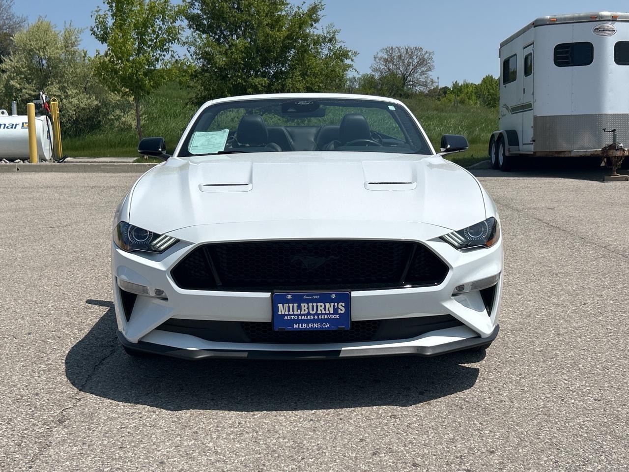 2023 Ford Mustang GT Premium   Nav.   Leather   Heated/Cooled Seats Photo