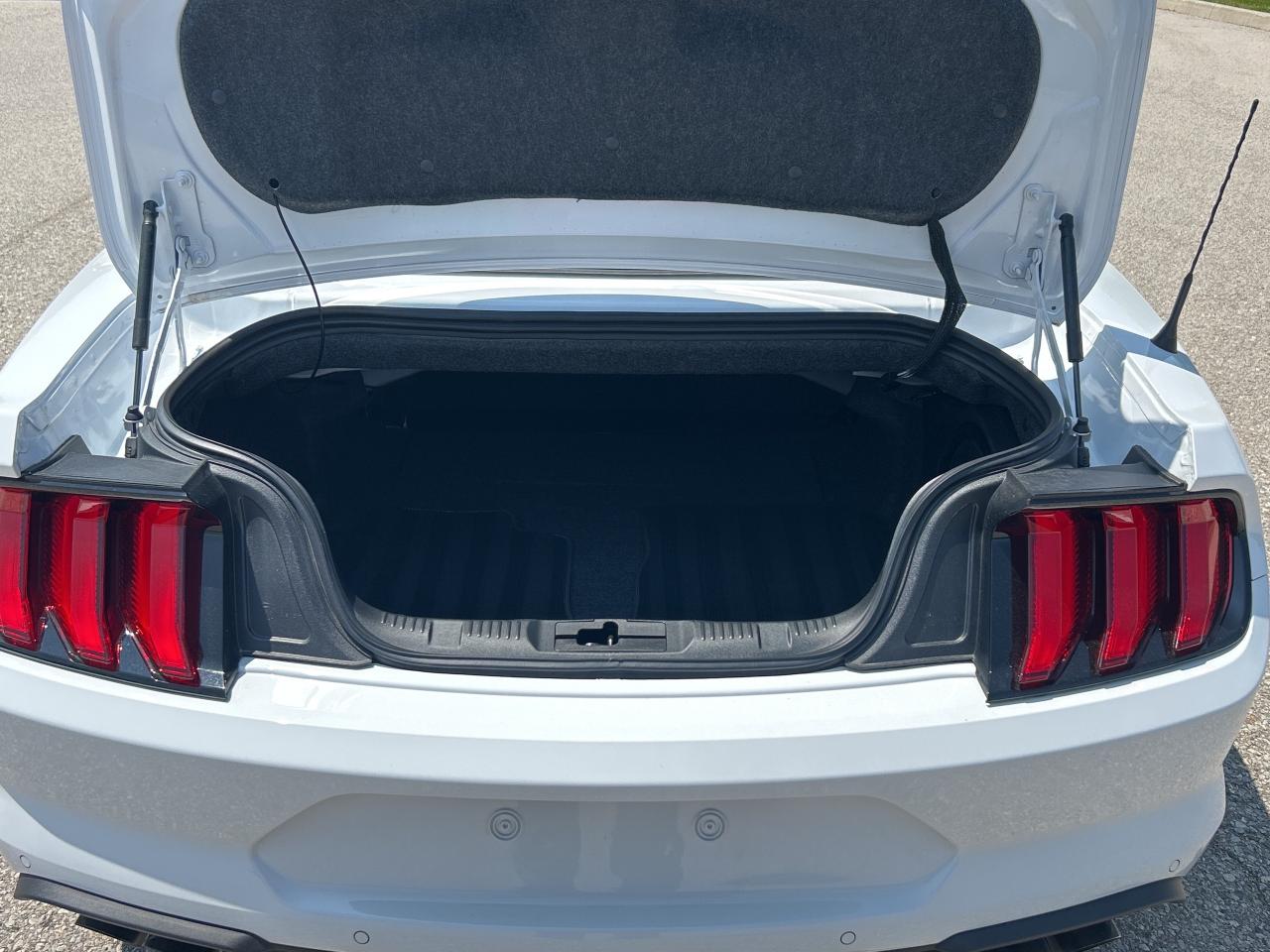 2023 Ford Mustang GT Premium   Nav.   Leather   Heated/Cooled Seats Photo