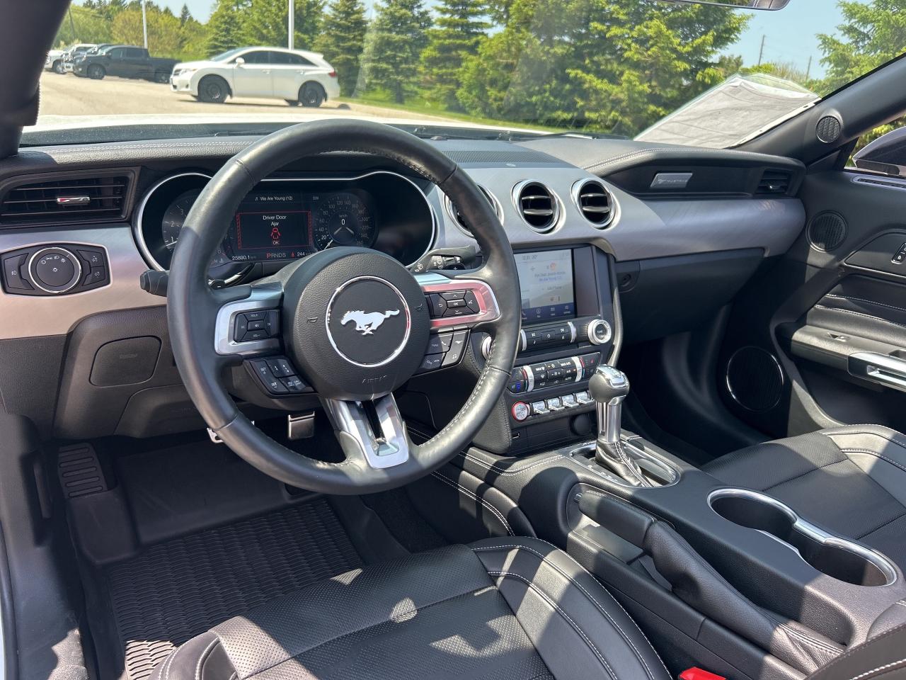 2023 Ford Mustang GT Premium   Nav.   Leather   Heated/Cooled Seats Photo