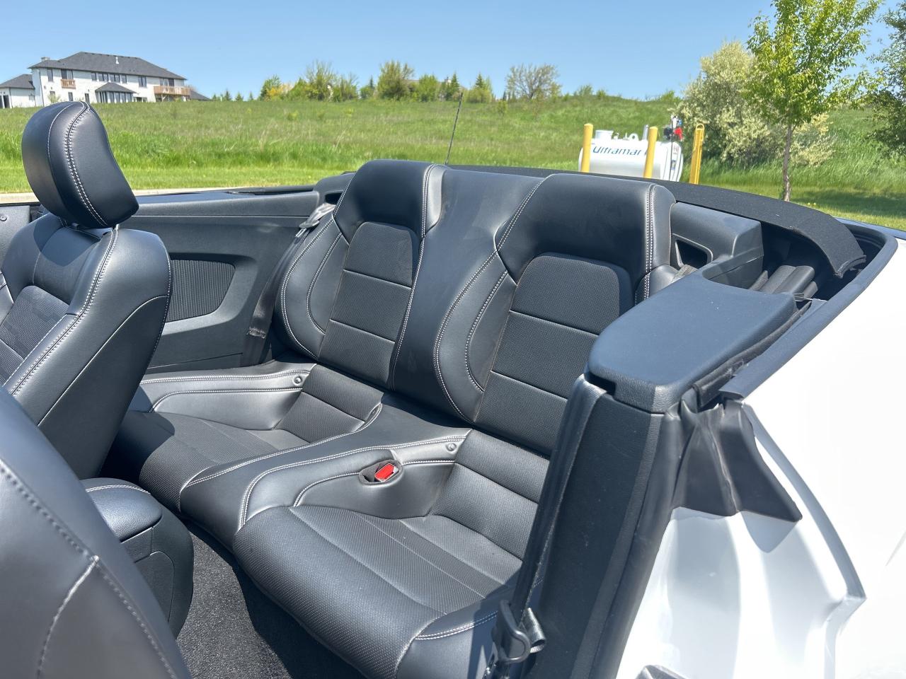 2023 Ford Mustang GT Premium   Nav.   Leather   Heated/Cooled Seats Photo