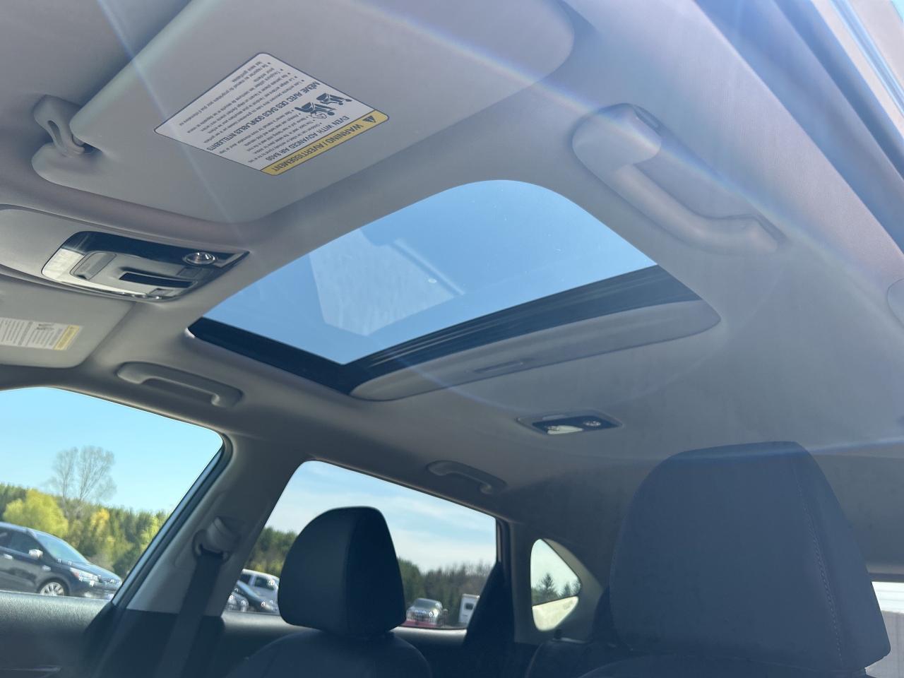 2025 Kia Seltos EX AWD   Sunroof   Leather   Heated Seats Photo