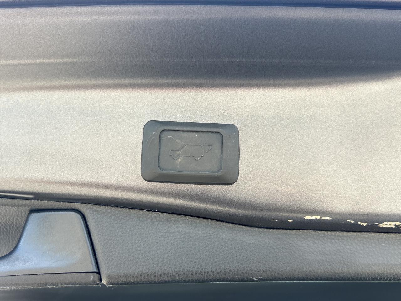 2024 Toyota RAV4 Hybrid XLE AWD   Sunroof   Heated Seats & Steering Wheel Photo