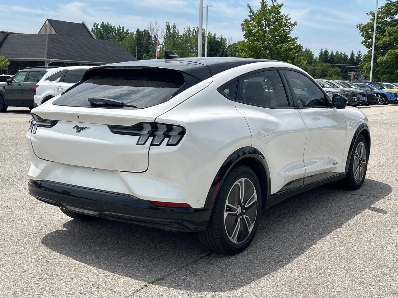 2023 Ford Mustang Mach-E Premium RWD   Nav.   Pano Roof   Leather Photo3