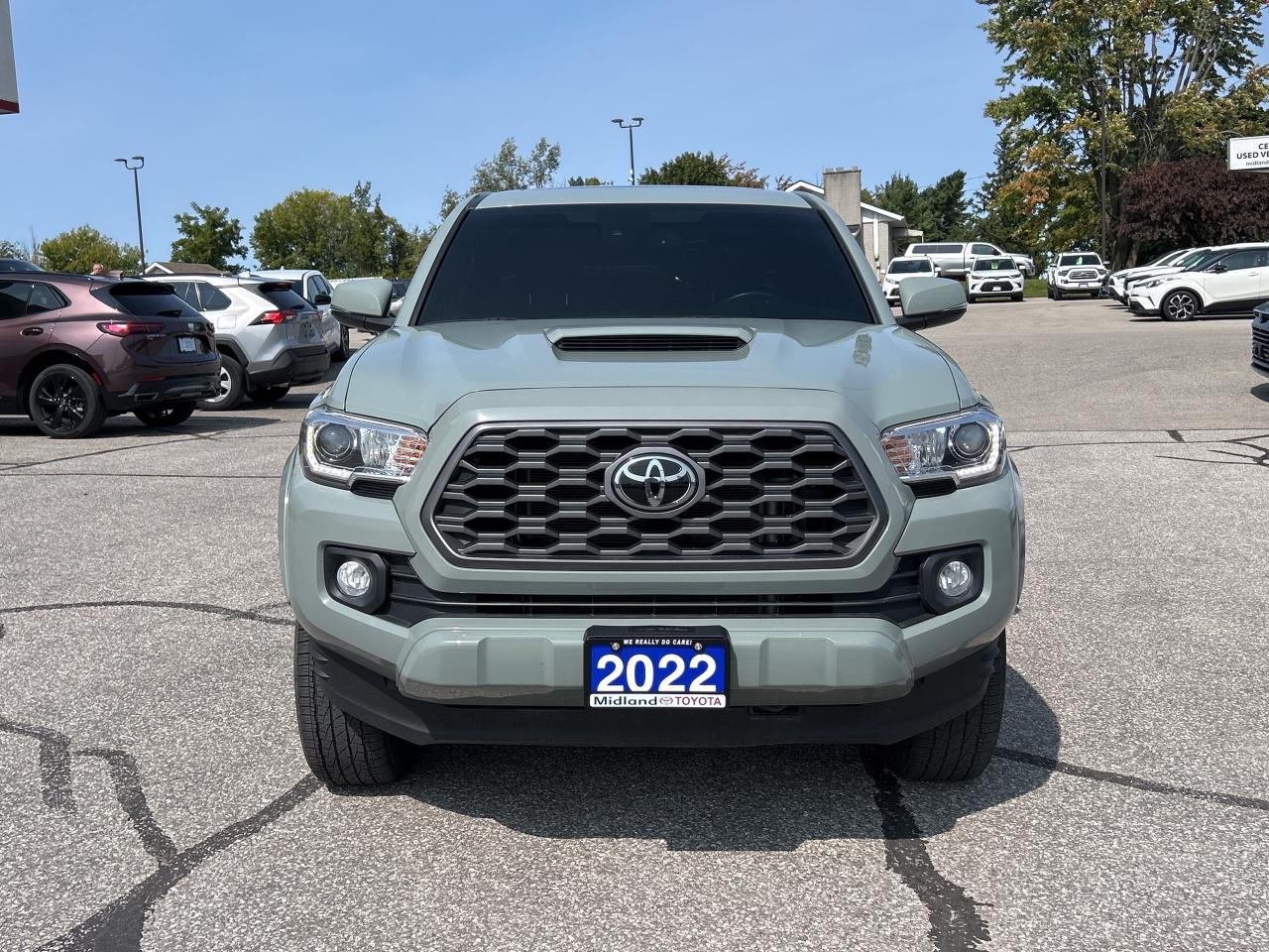 2022 Toyota Tacoma TRD Sport Premium   Leather Interior   Moonroof Photo