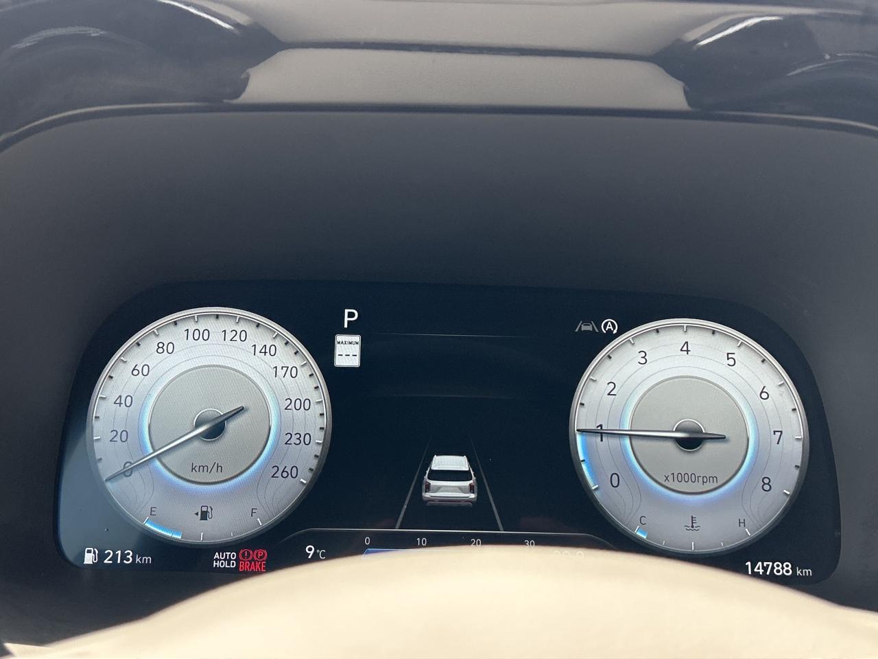 2024 Hyundai PALISADE Ultimate Calligraphy   360 Camera   ONE OWNER Photo