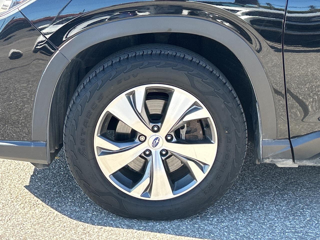 2019 Subaru ASCENT Touring   Panoramic Moonroof   LOW KILOMETRES Photo
