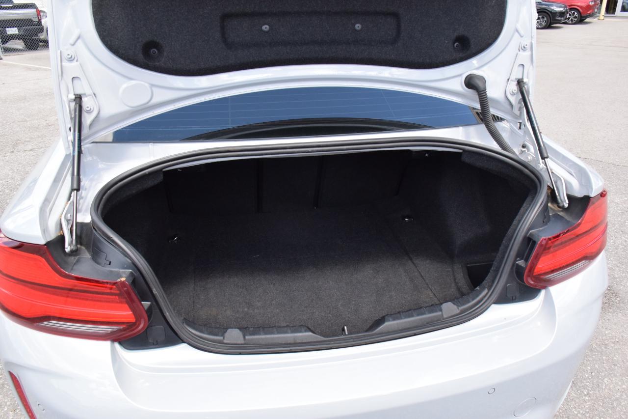 2019 BMW M2 Competition Coupe Photo