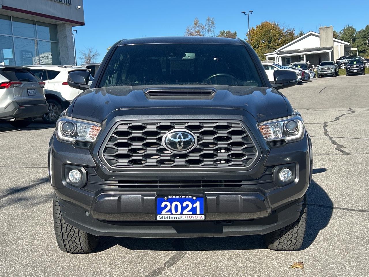 2021 Toyota Tacoma TRD   Front Heated Seats   No Reported Accidents Photo