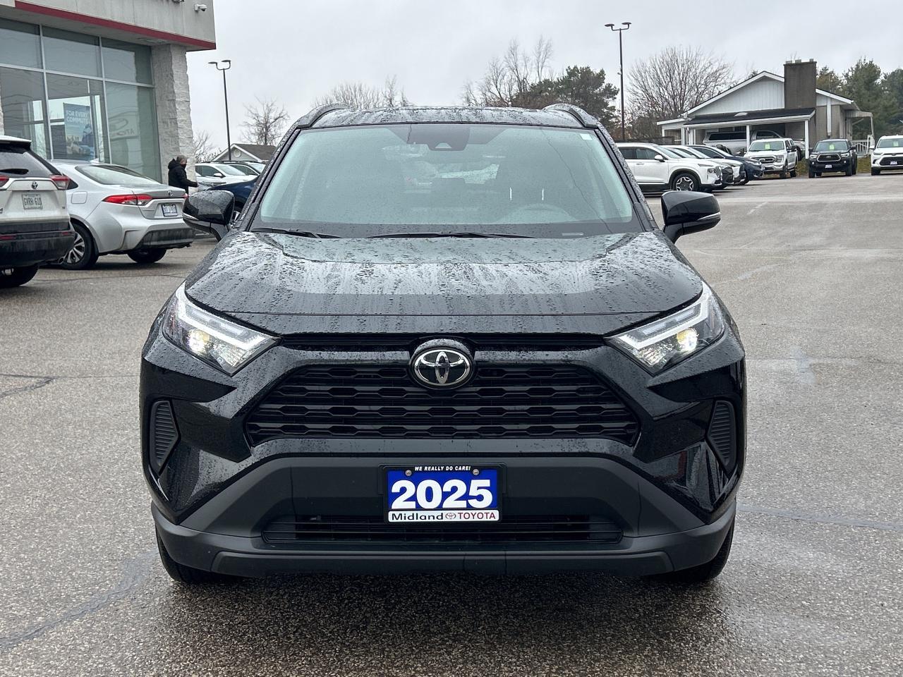 2025 Toyota RAV4 XLE   NO REPORTED ACCIDENTS   Power Moonroof Photo